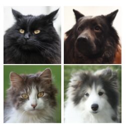 Unpaired image matching examples