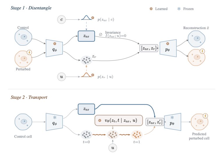 DRIFT two-stage diagram: disentangle, then transport