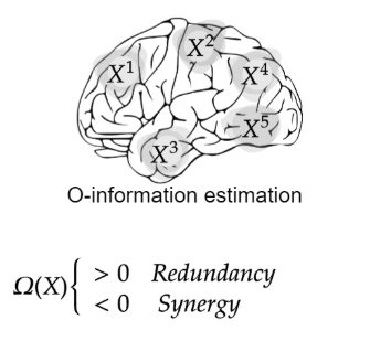 O-information figure
