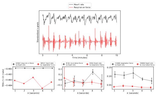 Transfer entropy figure